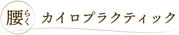 水戸市の「腰らくカイロプラクティック」は腰痛改善で主婦の皆様に口コミも人気の整体院です。